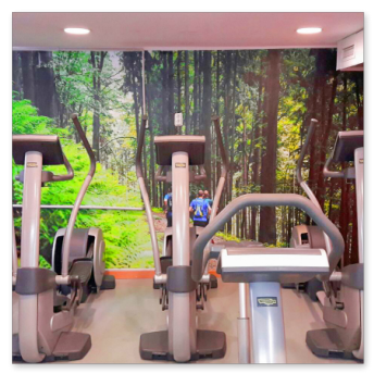 zona cardio